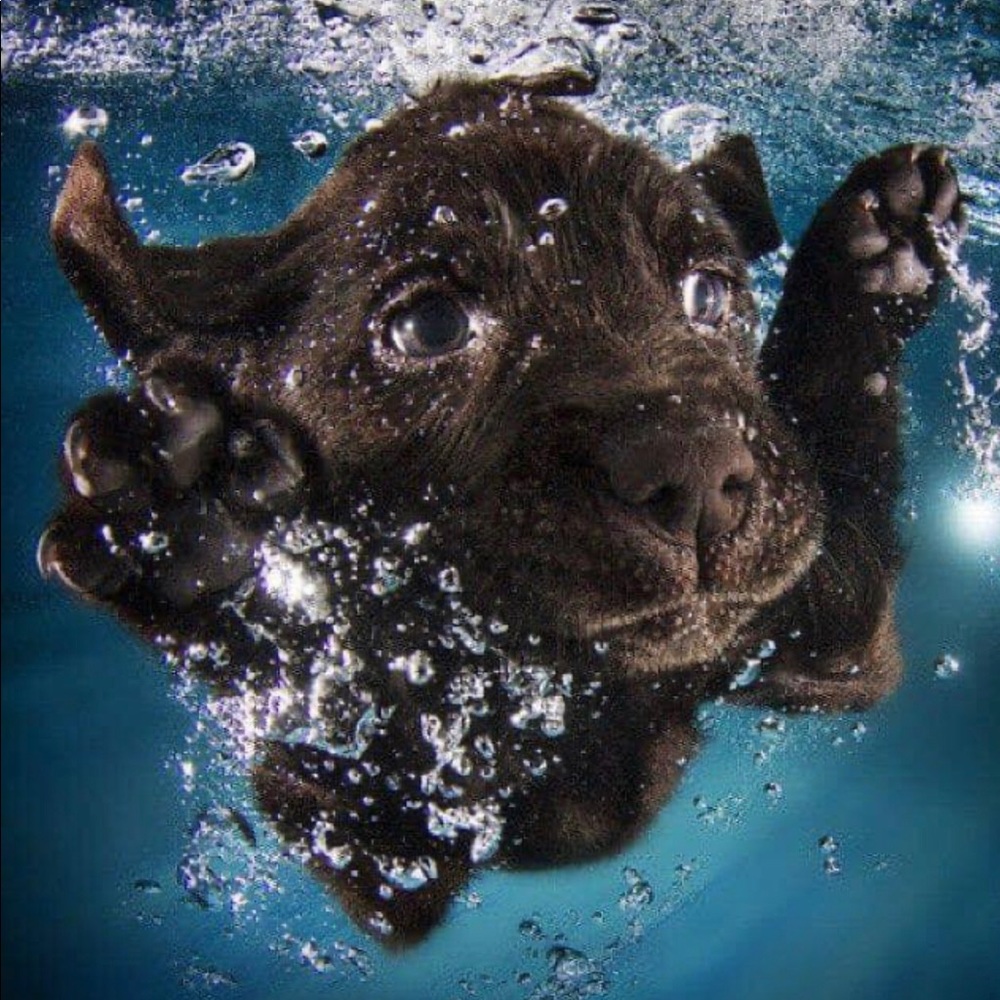 Meet your Posher, Marcela